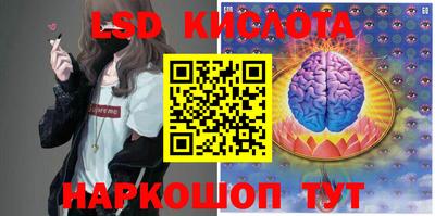 ПСИЛОЦИБИНОВЫЕ ГРИБЫ Изобильный