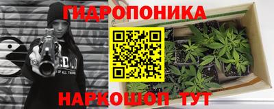 2c-b Кандалакша