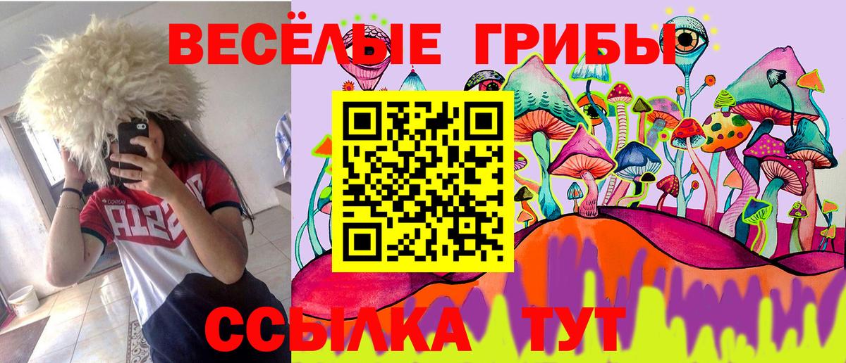 Псилоцибиновые грибы GOLDEN TEACHER Краснодар