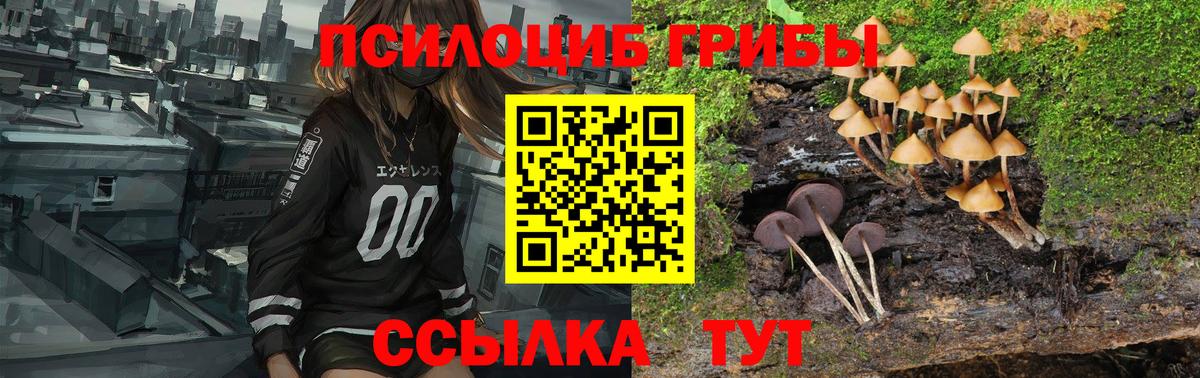 Псилоцибиновые грибы мухоморы  Галлюциногенные грибы Psilocybe  Краснодар  Вход с VPN 