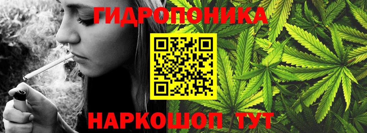 Канабис семена Краснодар